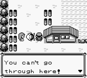 PokemonRed11